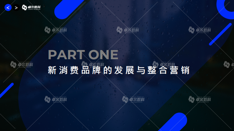 新消费品牌整合营销白皮书.pdf 第4页