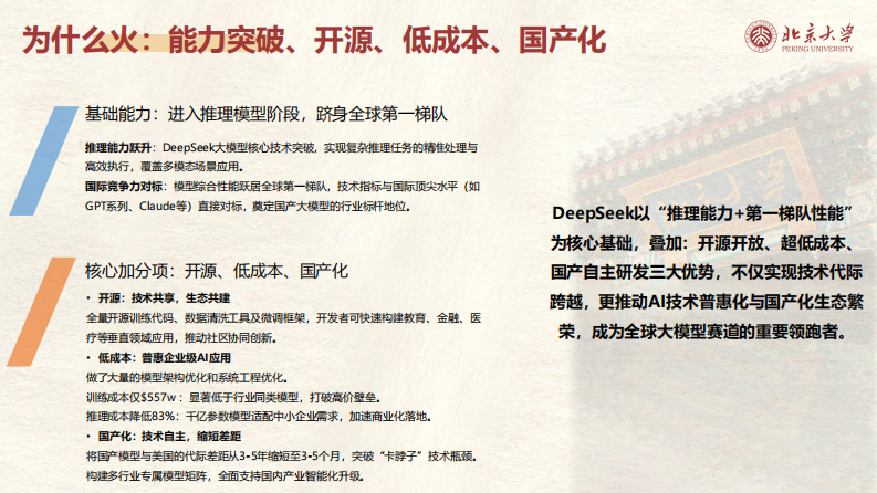 北京大学-DeepSeek系列-提示词工程和落地场景 第5页