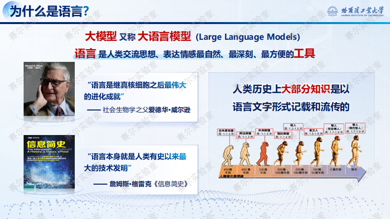 2025大模型原理、技术与应用：从GPT到DeepSeek.pdf 第2页