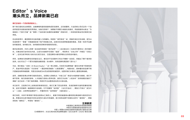 AI搜索时代：从GEO到AIBE的品牌新蓝图 第3页