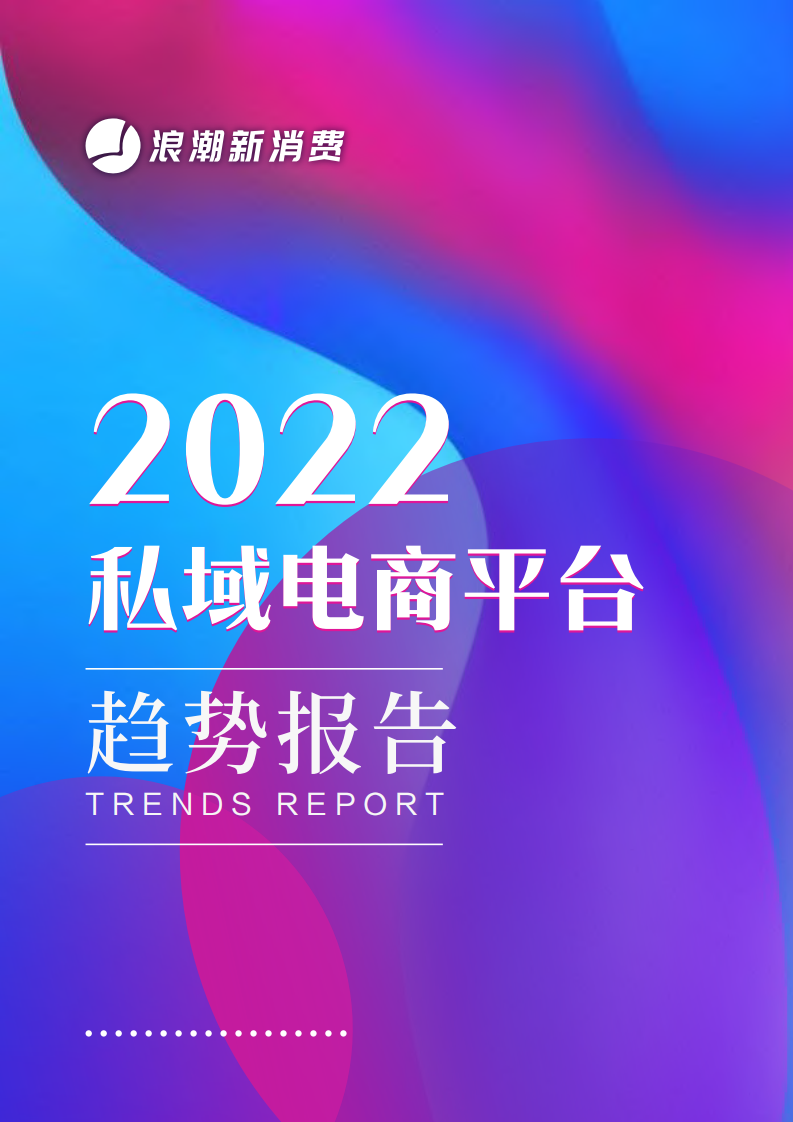 浪潮新消费：2022私域电商平台趋势报告.pdf 第1页