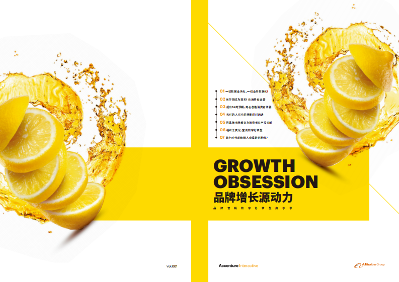 品牌增长源动力之一.pdf 第1页