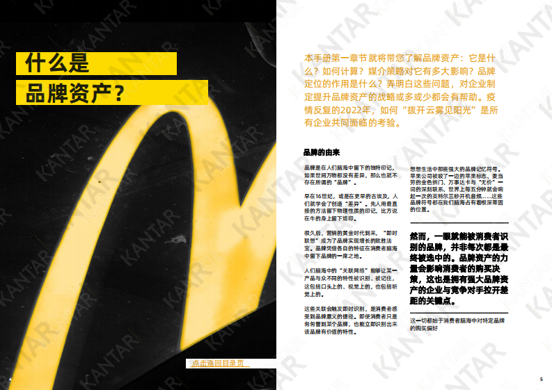 凯度BrandZ&trade;品牌力洞见：品牌资产与增长.pdf 第3页