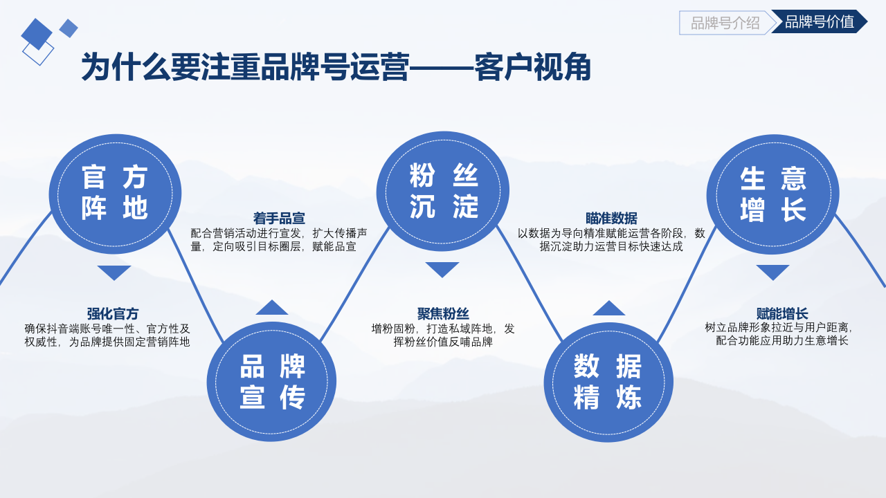 抖音品牌号经营与营销方法论自学手册v1.0.pptx 第5页