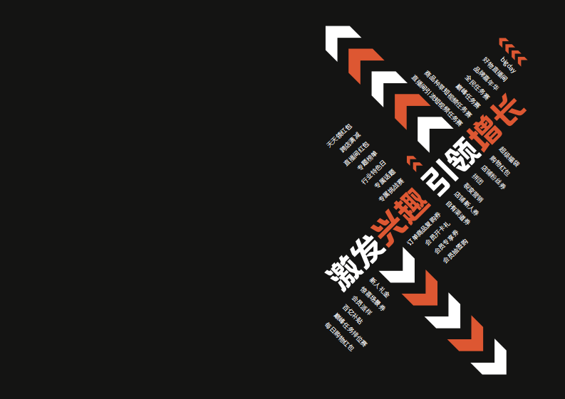 抖音电商大促营销宝典.pdf 第2页