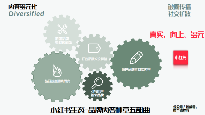 品牌线上作战手册-布兰德老白.pdf 第5页