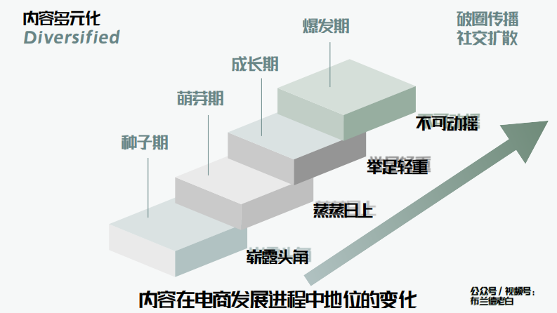品牌线上作战手册-布兰德老白.pdf 第4页