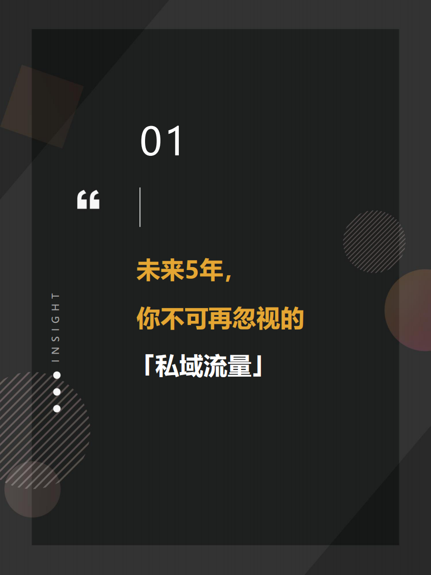 私域流量运营实操指南.pdf 第3页