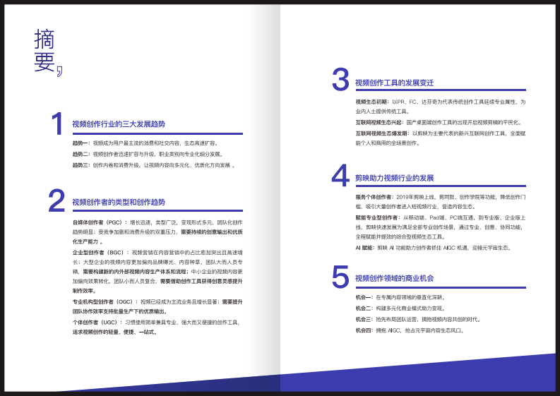 2022视频创作行业趋势白皮书.pdf 第2页