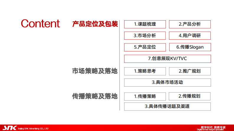 S类策略服务模板（25P） 第3页
