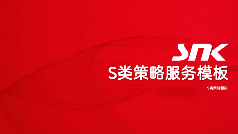 S类策略服务模板（25P） 第1页