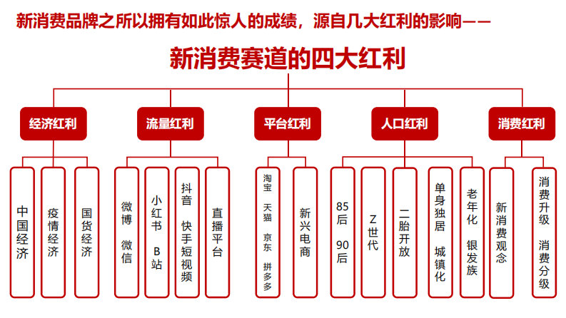 新品牌崛起的背后逻辑（56P） 第5页