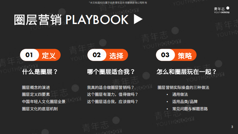 青年志圈层营销PLAYBOOK（69P） 第3页