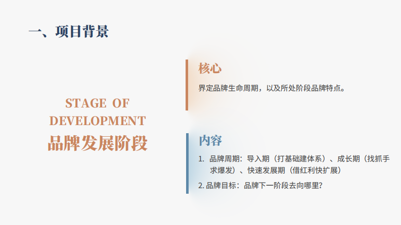 《品牌战略定位》方案模型（28P） 第3页