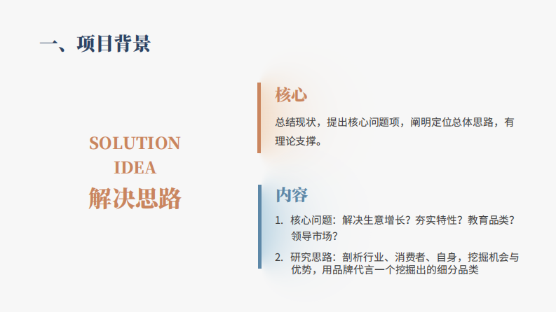 《品牌战略定位》方案模型（28P） 第5页