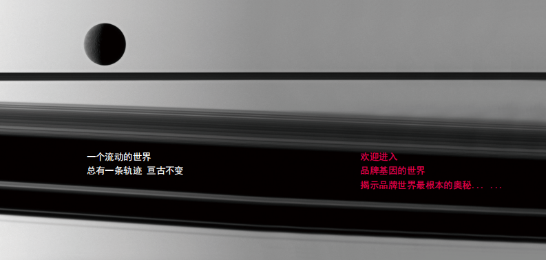 品牌基因序列互联网版（16P） 第4页