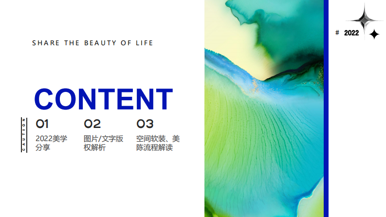 2022美学视觉设计趋势（95P） 第2页