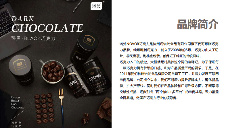 巧克力品牌-品牌诊断建议 营销战略规划 第5页