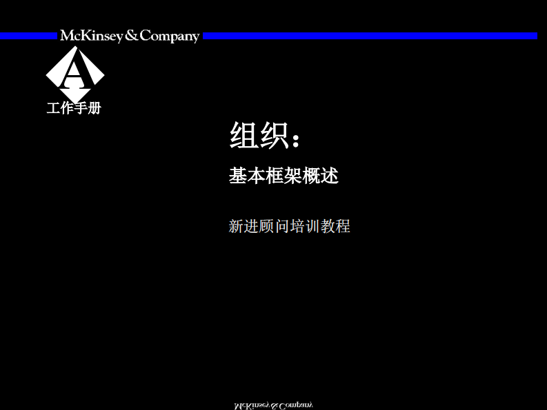 【组织】麦肯锡九大手册之八组织 第3页