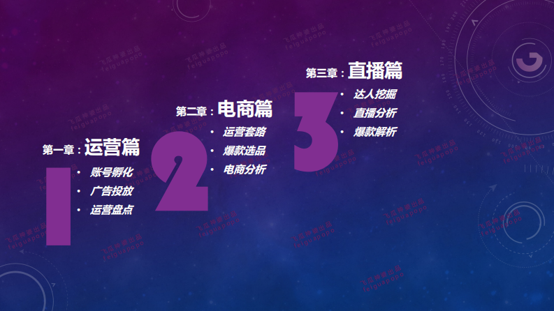 飞瓜数据：短视频生态操盘全攻略 第2页