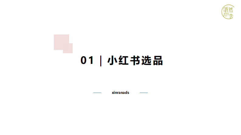 小红书品牌营销全链路 第3页