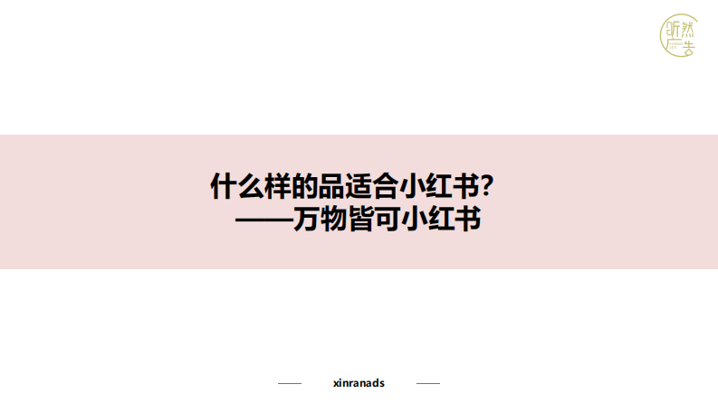 小红书品牌营销全链路 第4页